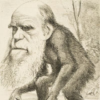 Victorian Literature and Darwin's Origin of Species
