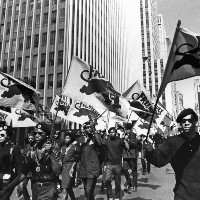 The Black Panther Party, 1966-82