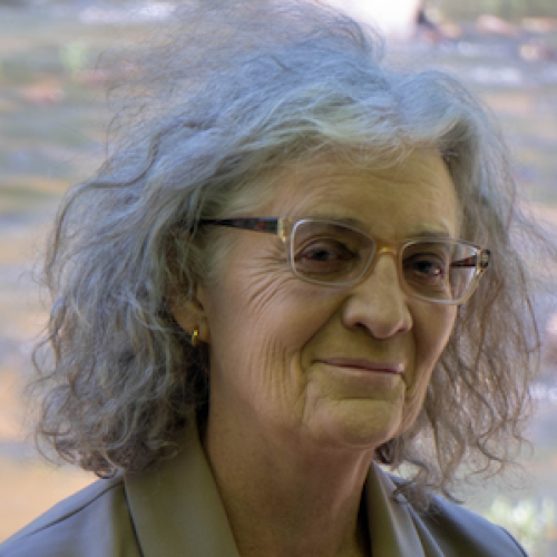 Prof. Carol Apollonio